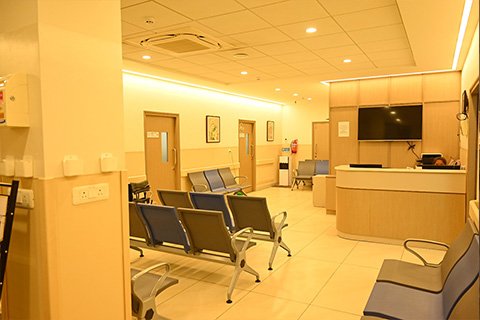 Gallery 29